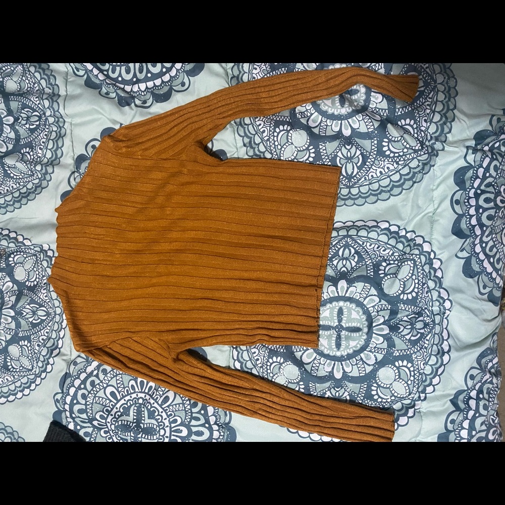 Long Sleeve Crop Top Shirt